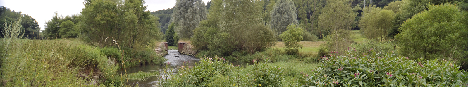 Fluss durch bewaldete Landschaft © Dienstleistungszentren Ländlicher Raum